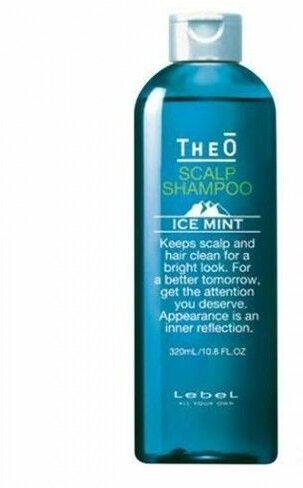 Lebel TheO Scalp ICE MINT Многофункциональный шампунь для мужчин, 320