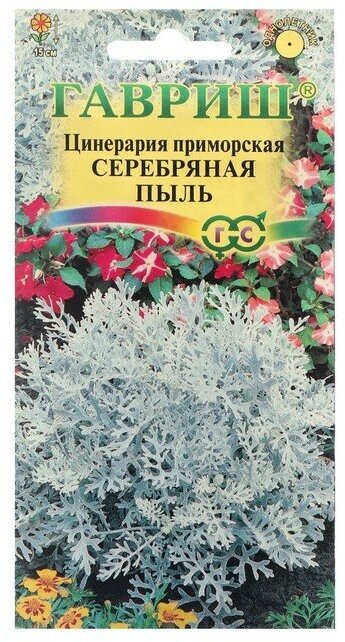 Семена цветов Цинерария приморская "Серебряная пыль" 005 г