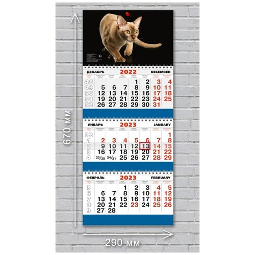 Календарь 3-секционный (КР30) на 2023 год Кот [КР30-23025]