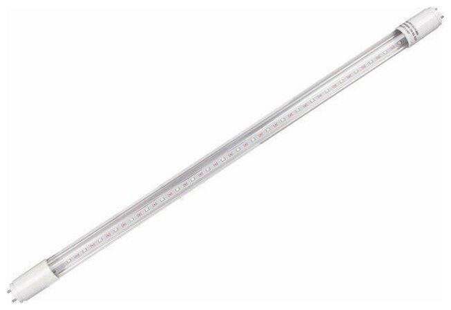 5006508 Лампа светодиодная Спец PLED T8 -1200 Food Meat 18W G13 Cl/PL 230V/50Hz Упаковка (25 шт.) Jazzway - фото №2