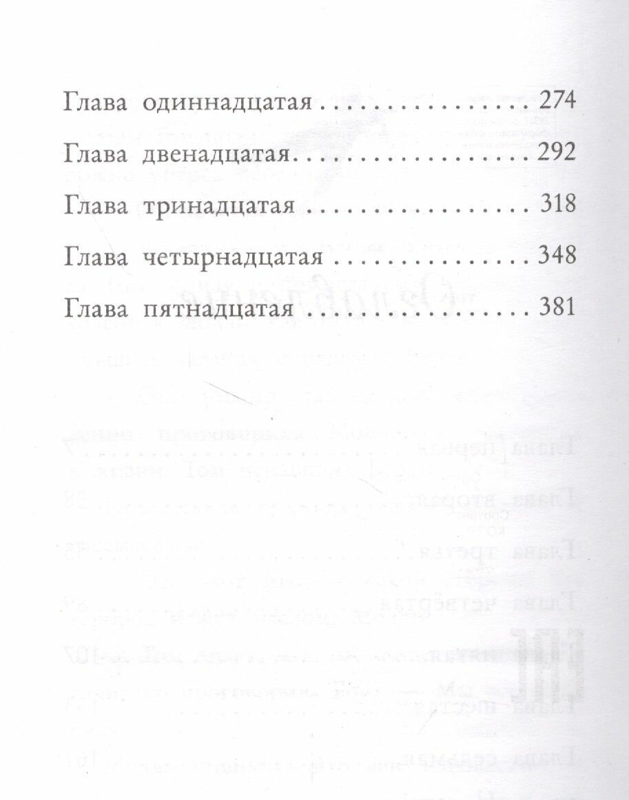 Три секрета под одной крышей (Холли Вебб) - фото №14