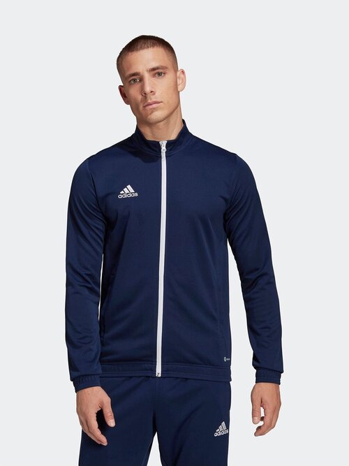 Олимпийка adidas Entrada 22, размер m, синий