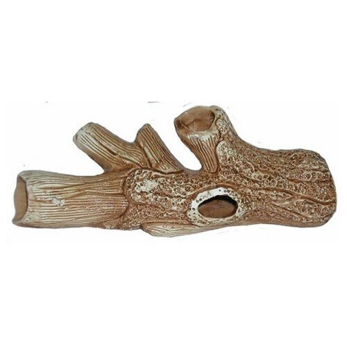 42 Коряга малая 190х50х65мм