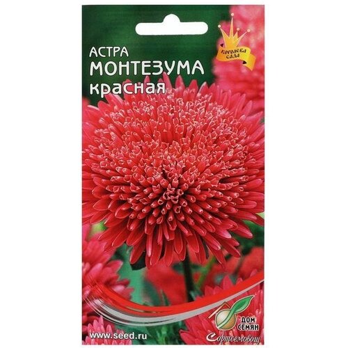 Семена цветов Астра Монтезума, красная, 100 шт астра монтезума красная 100 семян