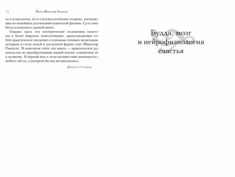 Будда мозг и нейрофизиология счастья Как изменить жизнь к лучшему Практическое руководство - фото №12