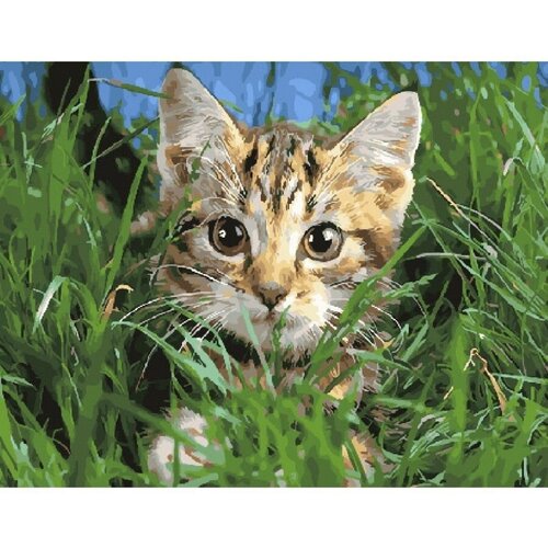 Картина по номерам Котик в траве 40х50 см Hobby Home картина по номерам кролик в траве 40х50 см
