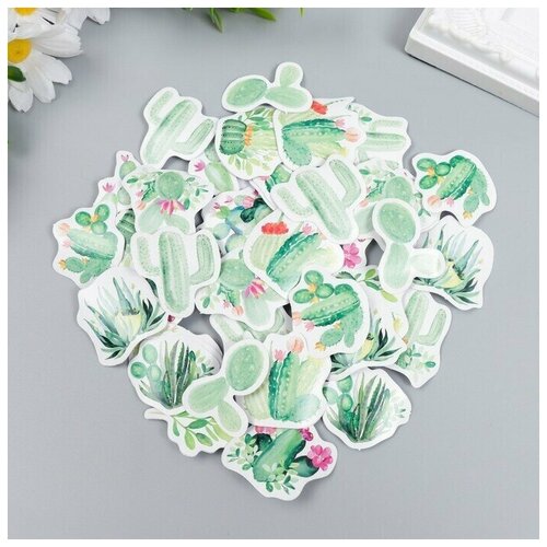 Наклейки для творчества Цветущие суккуленты набор 46 шт 44х44х11 см 650₽