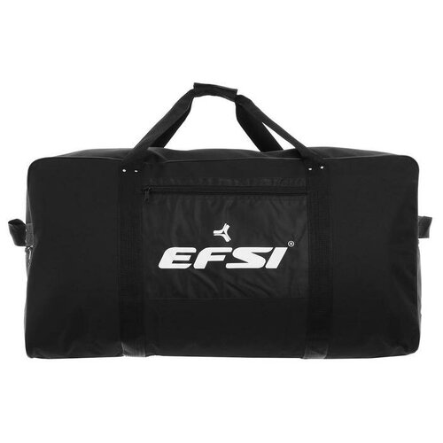   EFSI 3