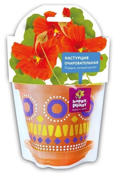 Набор для выращивания Happy Plant Настурция очаровательная, hpd-11