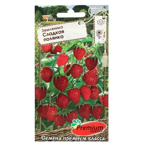 Семена Premium seeds Земляника Сладкая полянка, 0,04 г