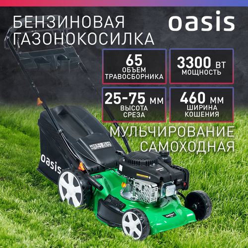 Газонокосилка бензиновая несамоходная для травы Oasis GBE-3,3 Eco, 3300 Вт, 4,5 л. с, 2800 об/мин бензиновая газонокосилка eco lg 735