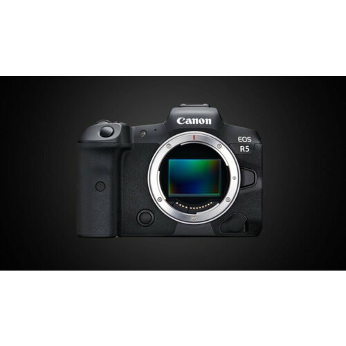 Цифровая фотокамера Canon EOS R5 Body 33500000₽