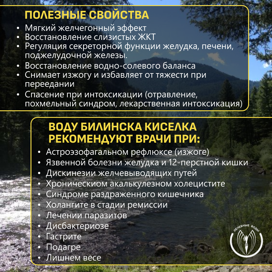 Билинска Киселка Вода минеральная вода 1л Бохемия Хилин Минерал Вотерс - фото №9