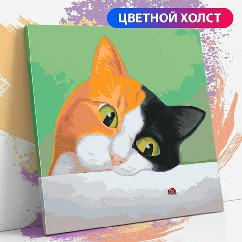 фото Картина по номерам на холсте с подрамником, "трехцветный кот", 40х40 см раскрасим сами