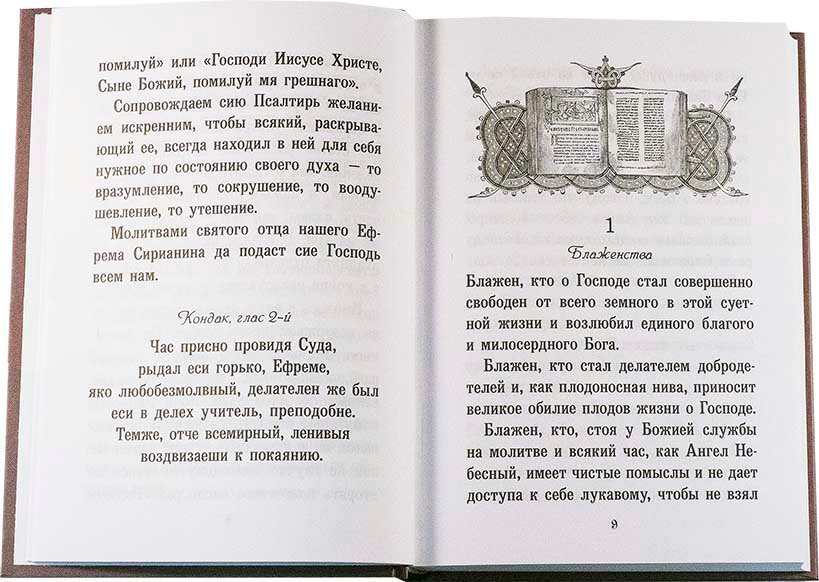 Псалтирь или Богомысленные размышления, извлеченные из творений святого отца нашего Ефрема Сирина - фото №12