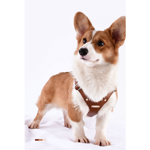 Шлейка Loudik для собак маленьких и средних пород размер S цвет коричневый 4606₽