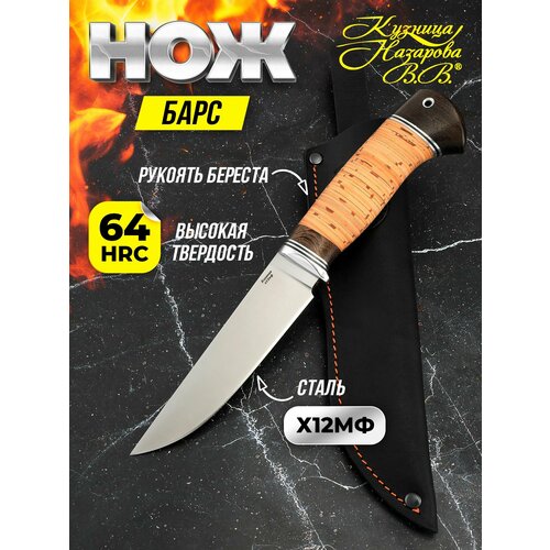 Нож охотничий Барс, сталь Х12МФ сатин, рукоять береста, Кузница Назарова В. В.