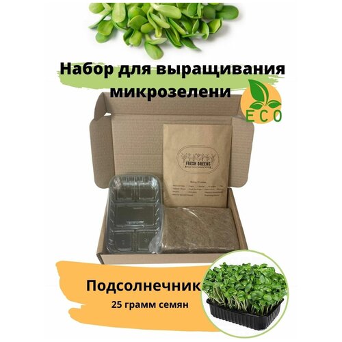 Микрозелень для выращивания Набор Подсолнечник Fresh Greens (Семена Подсолнечника, Джутовый мат, Контейнер для выращивания)
