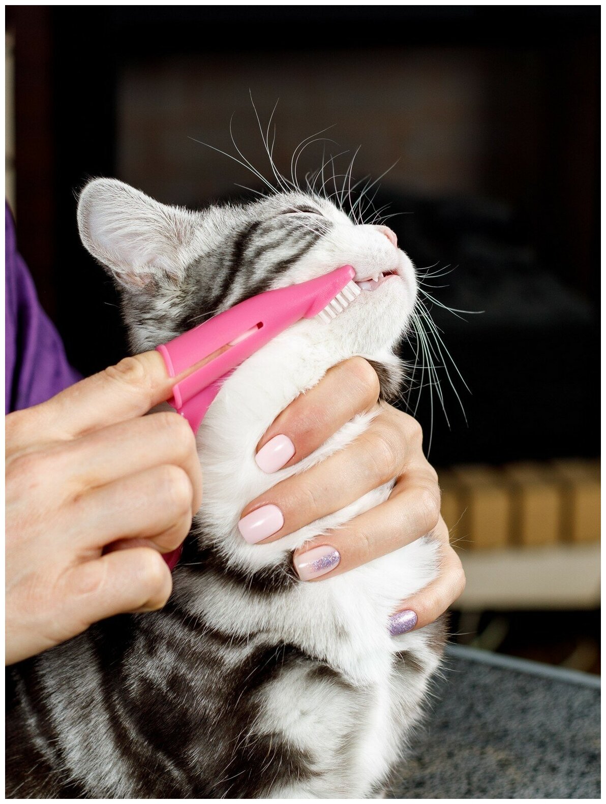 Зубная щетка для собак и кошек Japan Premium Pet анатомическая с ручкой для снятия налета, цвет розовый. - фотография № 9