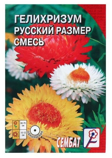 Семена цветов Гелихризум "Русский размер" 01 г