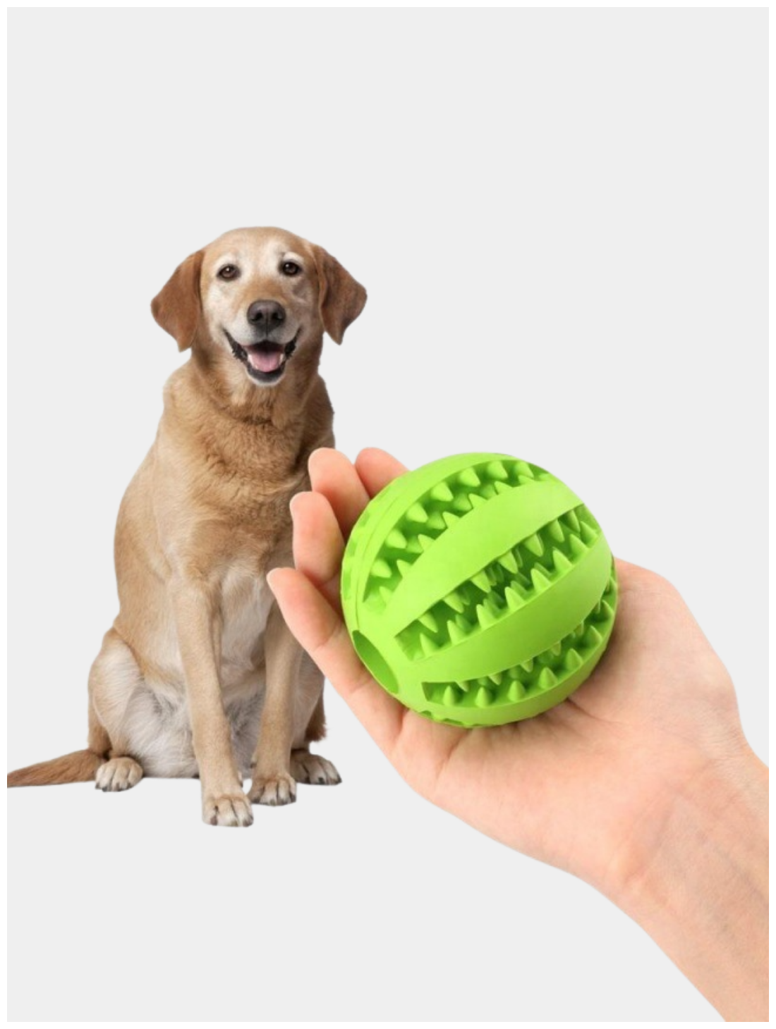 Мяч - грызунок для собак / животных зеленый - фотография № 6