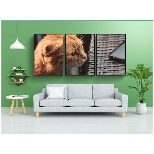 фото Набор модулных постеров для интерьера "кошка, домашний питомец, полосатый кот" 60x90 см. в тубусе, без рамки lotsprints