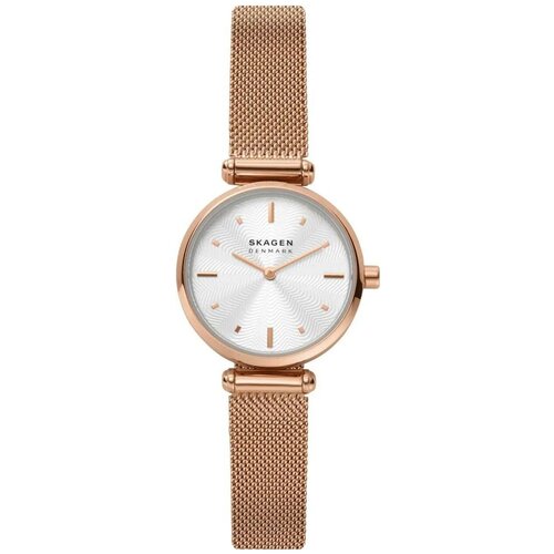 Мужские наручные часы Skagen SKW2955