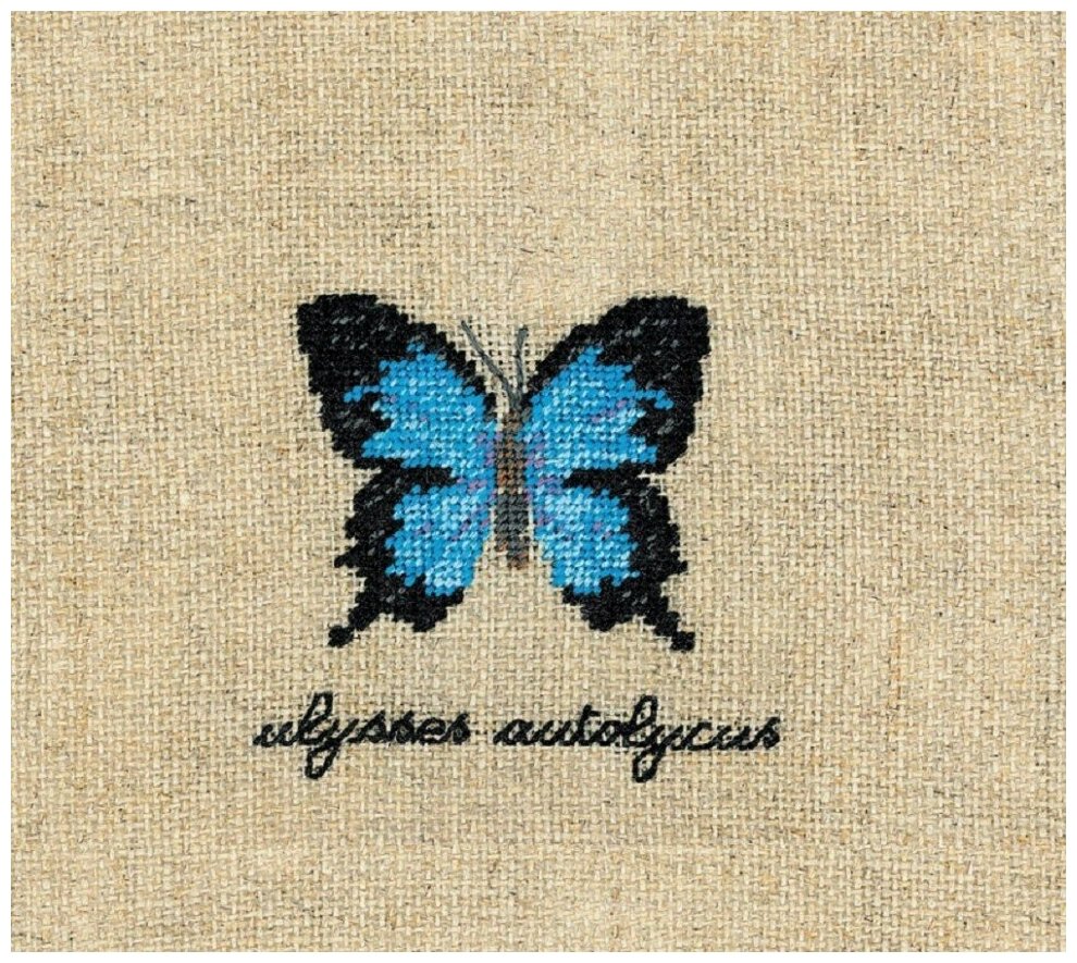 Papillons Ulysses Autolycus (Бабочка Ulysses Autolycus) #3628 Le Bonheur des Dames Набор для вышивания 5 х 5.5 см Счетный крест