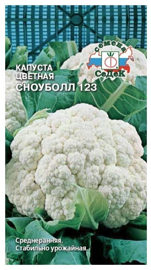 Капуста цветная сноуболл 123