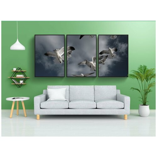 фото Набор модулных постеров для интерьера "птицы, летающий, небо" 60x90 см. в тубусе, без рамки lotsprints