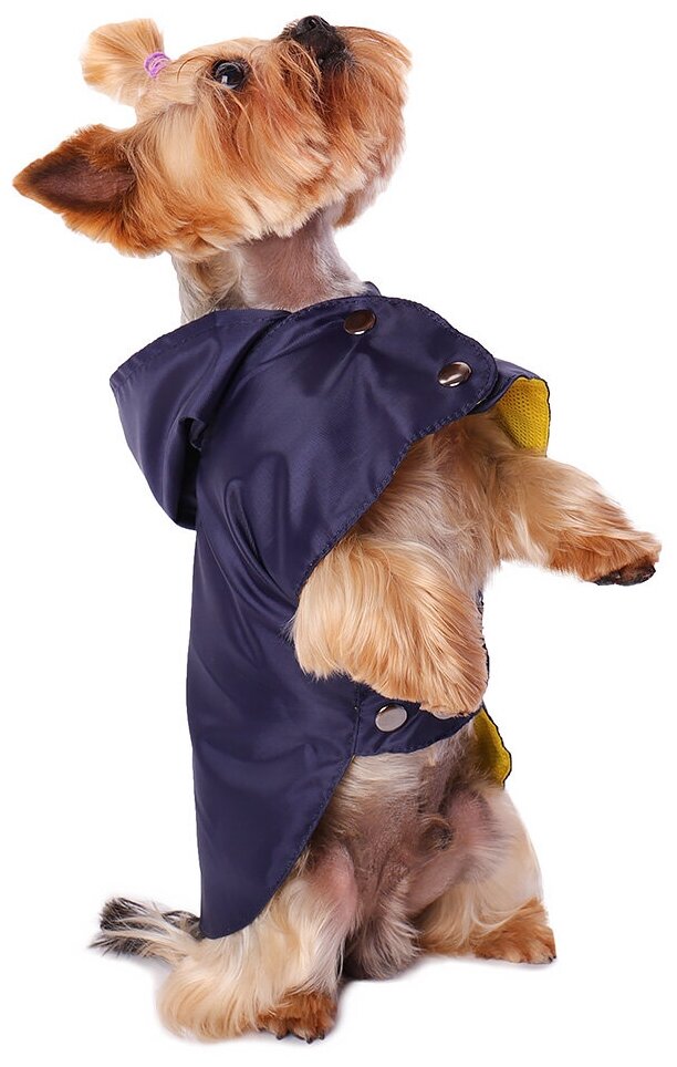 Дождевик для собак Монморанси "Стиль", цвет: темно-синий, размер М, длина спины 26 см.