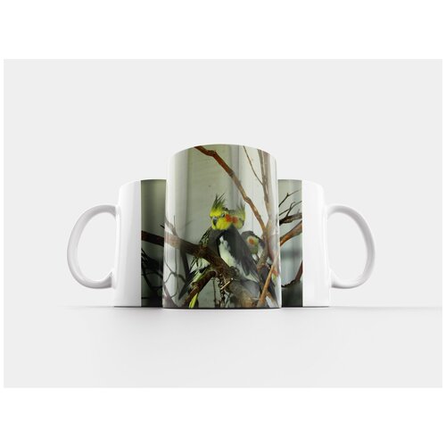 фото Кружка "птица, природа, животное" 320 мл lotsprints