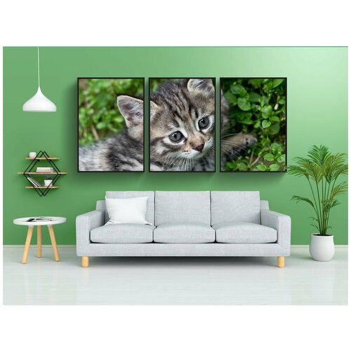 фото Набор модулных постеров для интерьера "полосатый котенок, серый котенок, кошка" 60x90 см. в тубусе, без рамки lotsprints