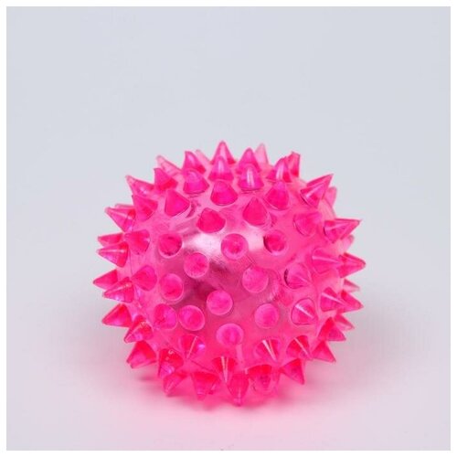 Пижон Мяч светящийся для собак средний, TPR, 5,5 см, розовый