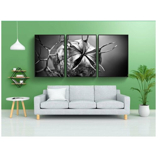 фото Набор модулных постеров для интерьера "чернушка, стручок семян, садовое растение" 60x90 см. в тубусе, без рамки lotsprints