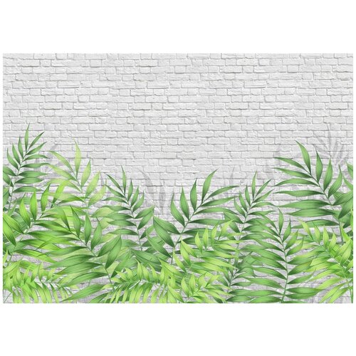 Фотообои Уютная стена Тропические листья на фоне стены 540х270 см Бесшовные Премиум (единым полотном)