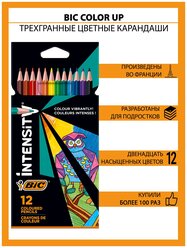 BIC Color Up Цветные карандаши, 12 цветов