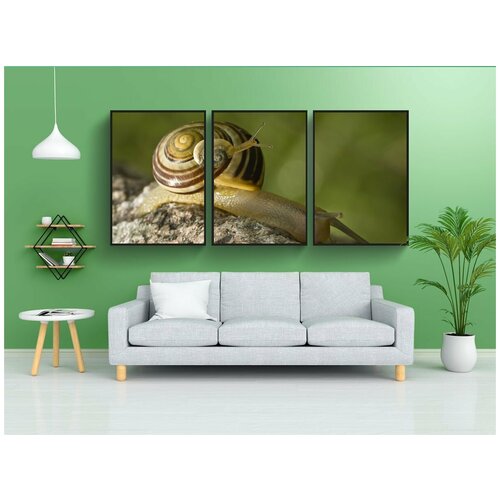 фото Набор модулных постеров для интерьера "улитка, улитки, тандем" 60x90 см. в тубусе, без рамки lotsprints