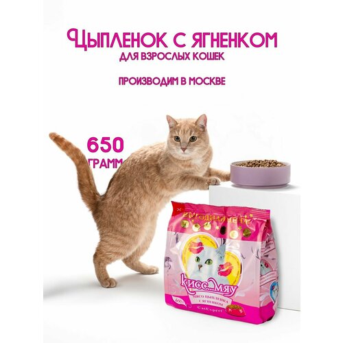 Сухой корм для кошек, Мясо цыпленка с ягненком, 650г