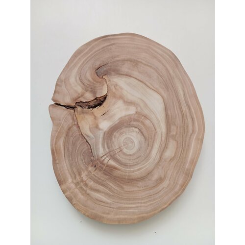 Спил дерева карагач, подставка заготовка для творчества 1 шт