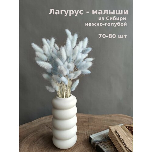 Букет из сухоцветов Сухоцвет Лагурус