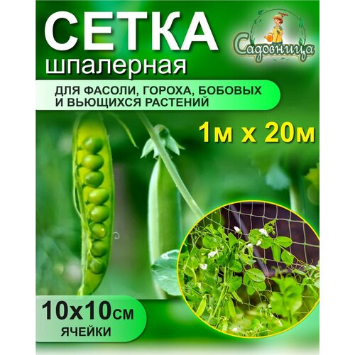 Сетка шпалерная для фасоли и гороха 1*20м (Хаки) сетка шпалерная садовая пластиковая для овощей въющихся растений 2х10м