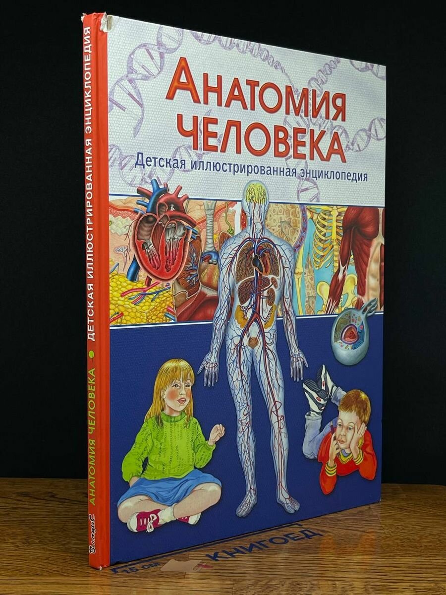 Анатомия человека. Детская иллюстрированная энциклопедия 2020