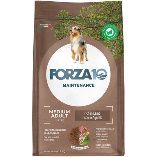 FORZA10 DOG MAINTENANCE ADULT MEDIUM для взрослых собак средних пород с ягненком и рисом 12 кг