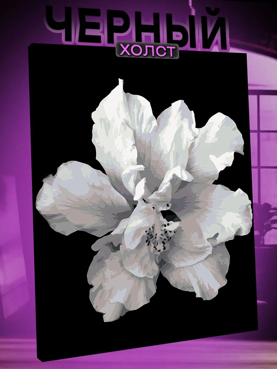 Картина по номерам на черном холсте
