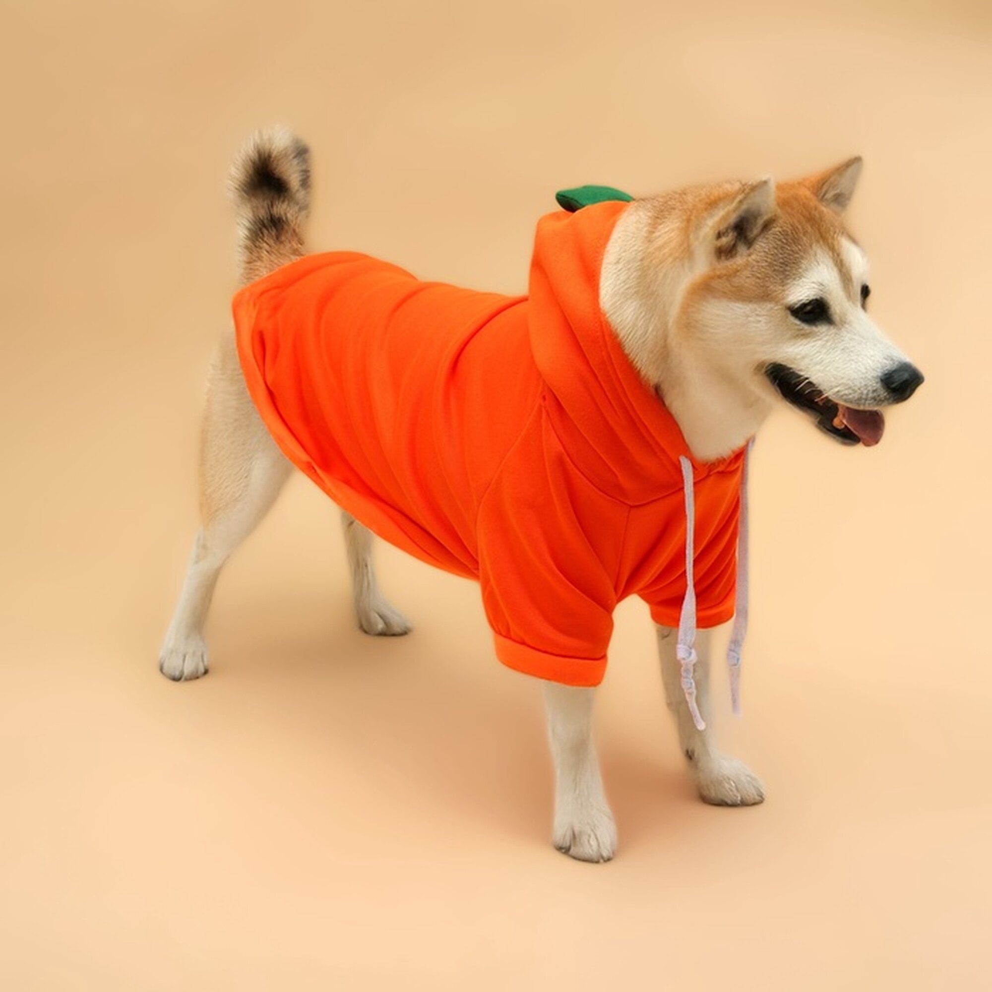 Толстовка Сима-ленд "Любимая морковка" для собак и кошек размер M цвет яркий с принтом