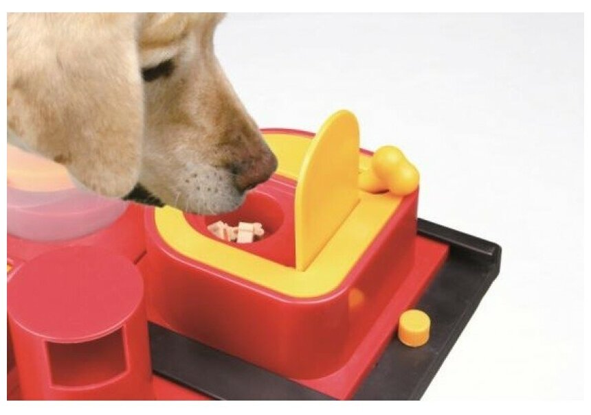 Развивающая игрушка для собак Poker Box 2, Trixie (31 x 31 см, 32013) - фотография № 3