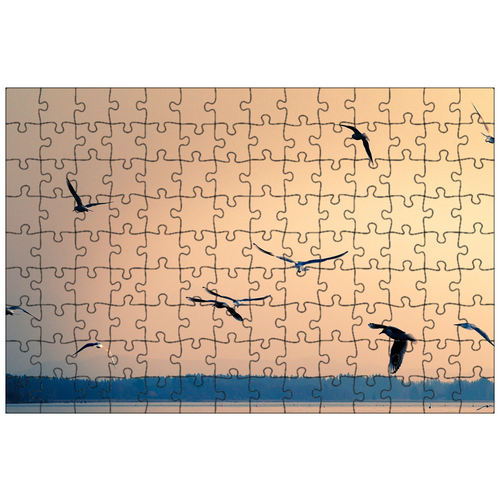 фото Магнитный пазл 27x18см."чайки, птицы, крыло" на холодильник lotsprints