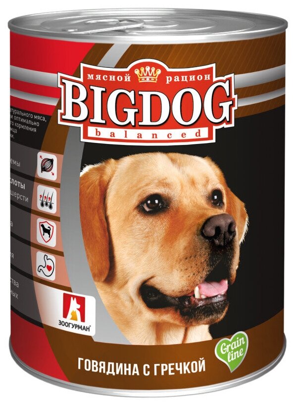 Влажный корм для собак зоогурман Big Dog Говядина с гречкой 850 г, (1 шт) Grain line