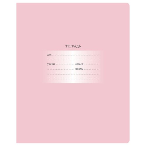 Купить Тетрадь 12л., клетка BG Первоклассная , светло-розовая, БиДжи, розовый